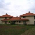 Diosd akacfa u 004